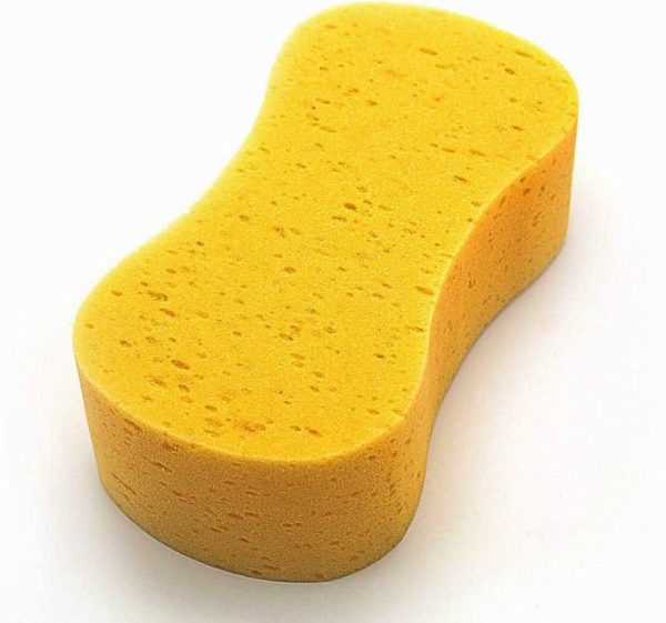 Jumbo Sponge